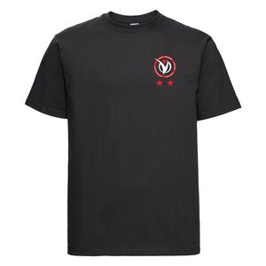 2 Year Classic Unisex Heavyweight Combed Cotton T-Shirt Thumbnail